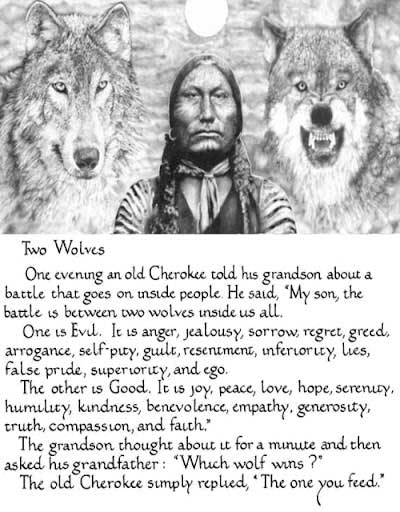 two wolves