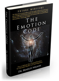 boek the emotional code