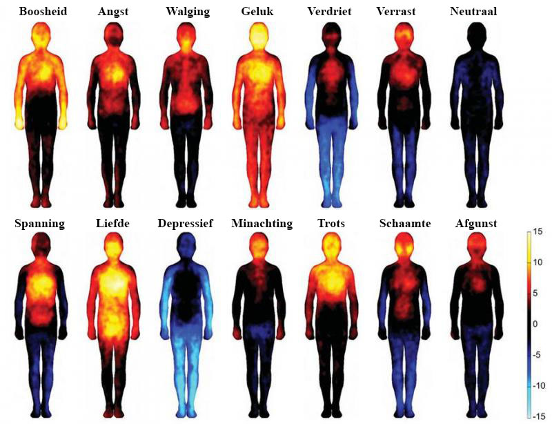 emotie onderzoek kaart