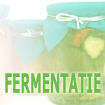 gefermenteerde voeding